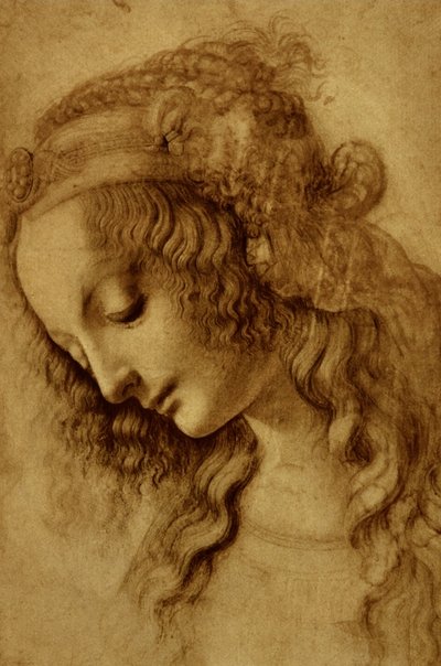 Woman in Profile by Leonardo da Vinci